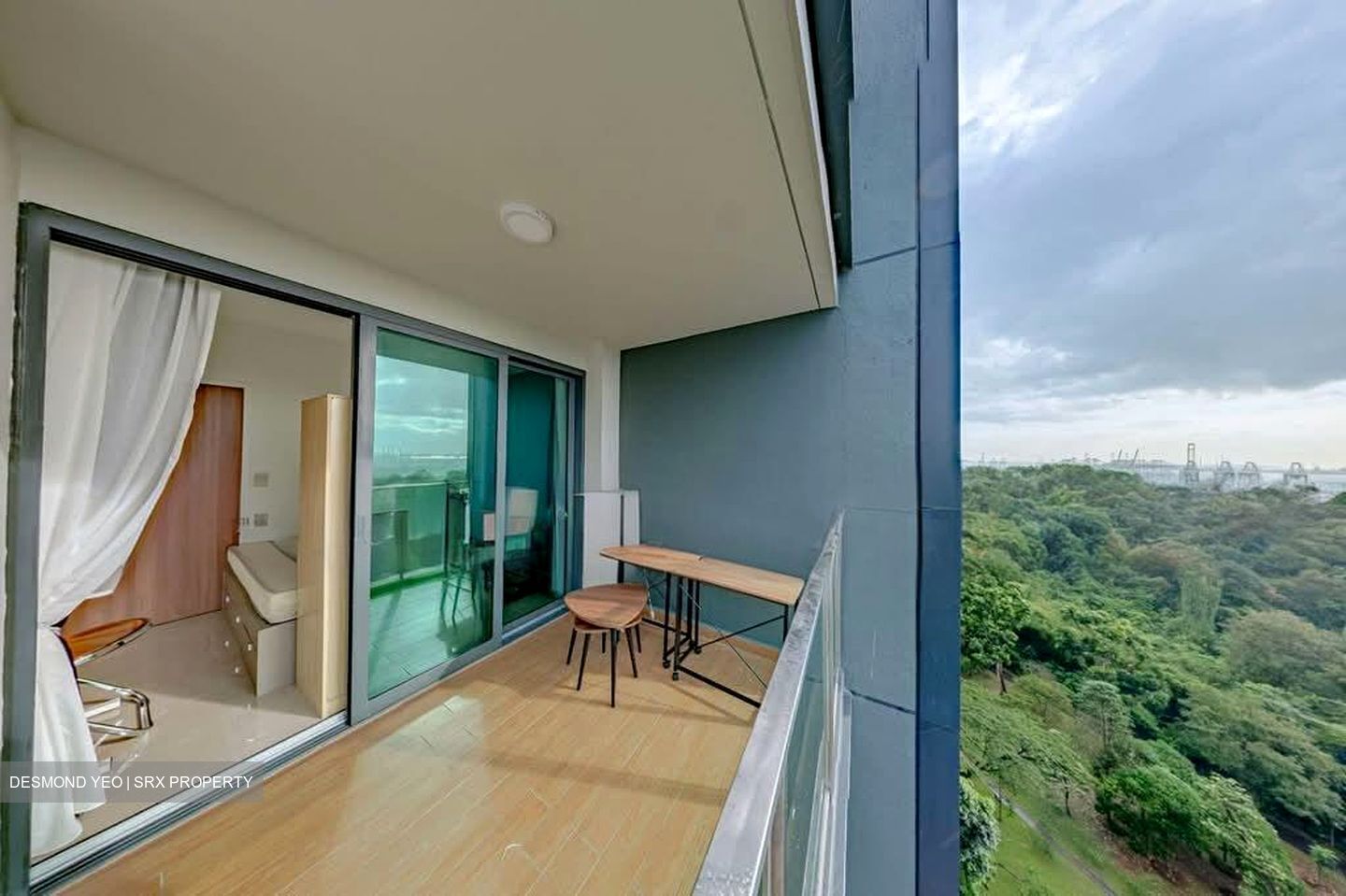 Normanton Park (D5), Apartment #582410941